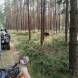 oboz-quadowo-paintballowo-gokartowy-wyprawy-quadowe-wandrus-img_20230714_150795.jpg
