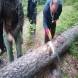 oboz-quadowo-paintballowo-gokartowy-wyprawy-quadowe-wandrus-img_20230714_150826.jpg