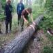 oboz-quadowo-paintballowo-gokartowy-wyprawy-quadowe-wandrus-img_20230714_150829.jpg