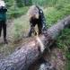 oboz-quadowo-paintballowo-gokartowy-wyprawy-quadowe-wandrus-img_20230714_150830.jpg