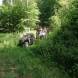 oboz-quadowo-paintballowo-gokartowy-wyprawy-quadowe-wandrus-img_20230714_150880.jpg