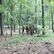 oboz-paintballowy-wandrus-bitwy-w-budynkach-w-terenie-desanty-na-wyspe-img_2660.jpg