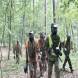 oboz-paintballowy-wandrus-bitwy-w-budynkach-w-terenie-desanty-na-wyspe-img_2662.jpg