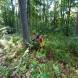 oboz-paintballowy-wandrus-bitwy-w-budynkach-w-terenie--img_20230714_130511949.jpg