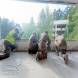 wandrus-obozy-paintballowe-quadowe-gokartowe-img_20230727_112310337.jpg