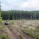 wandrus-obozy-quadowe-paintballowe-gokartowe-wyprawy-quadowe-w-terenie-img_2841.jpg