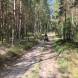 obozy-quadowe-gokartowe-paintballowe-wandrus-img_5513.jpg