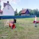 img20230729192302.jpg